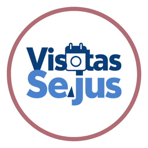 Visitas SEJUS